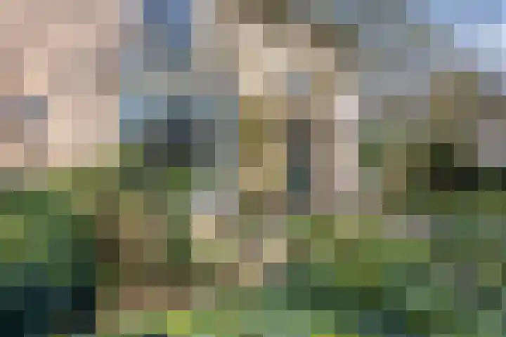 Bosweg 15 Amersfoort thumbnail 5
