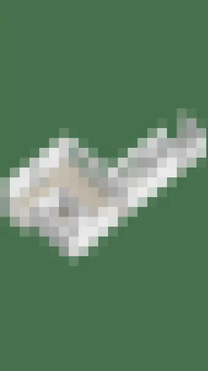 Bosweg 15 Amersfoort thumbnail 59