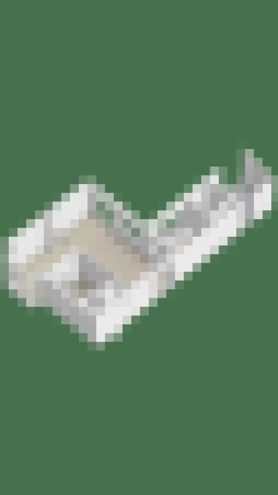 Bosweg 15 Amersfoort thumbnail 59