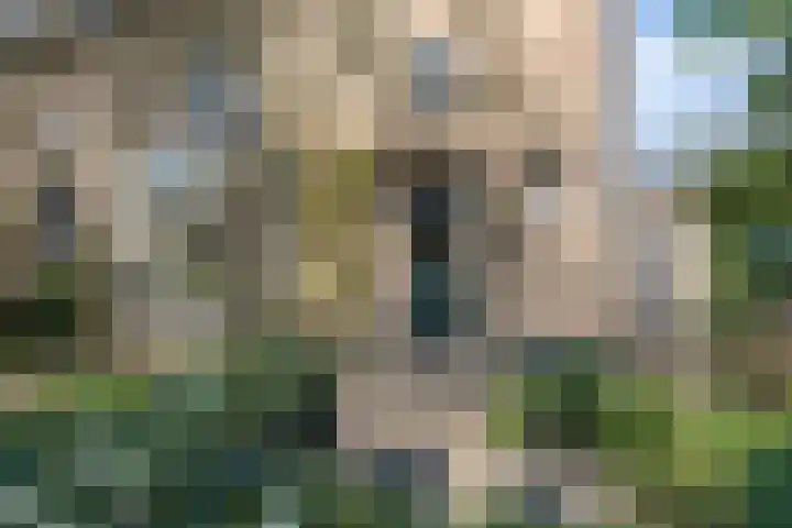 Bosweg 15 Amersfoort thumbnail 6