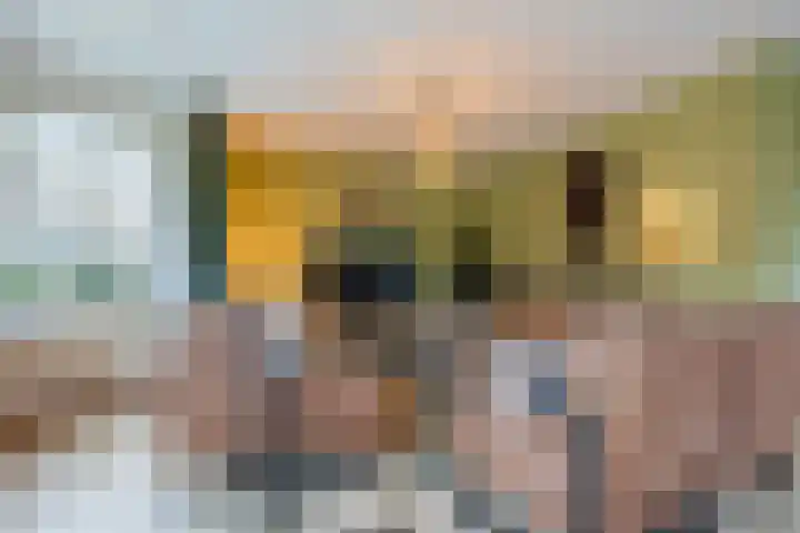 Bosweg 15 B 2 Hoogersmilde thumbnail 12