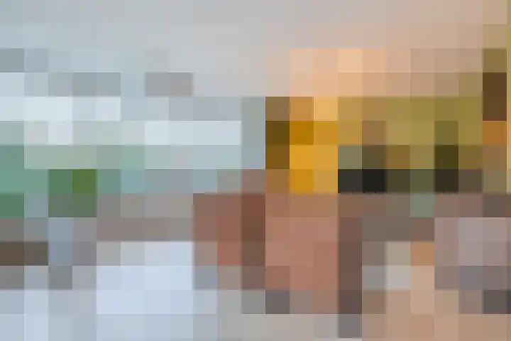 Bosweg 15 B 2 Hoogersmilde thumbnail 17