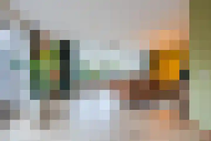 Bosweg 15 B 2 Hoogersmilde thumbnail 18