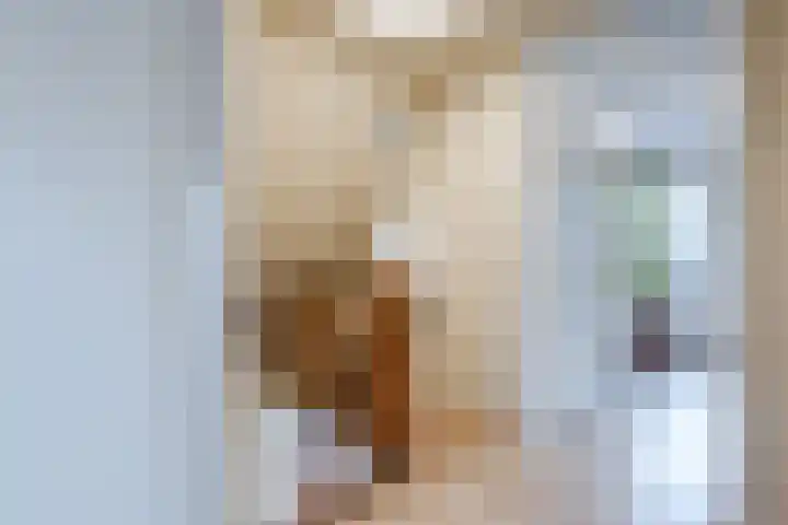 Bosweg 15 B 2 Hoogersmilde thumbnail 29