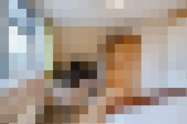 Bosweg 15 B 2 Hoogersmilde thumbnail 34