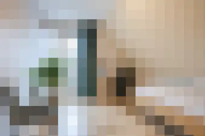 Bosweg 15 B 2 Hoogersmilde thumbnail 39