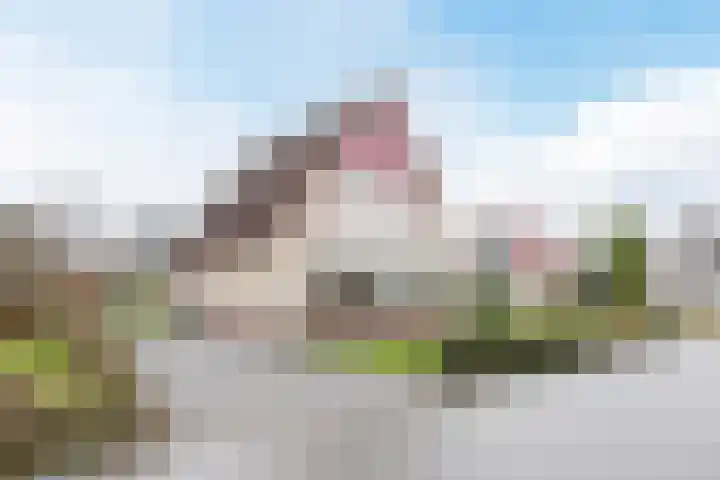 Bosweg 15 B 2 Hoogersmilde thumbnail 4