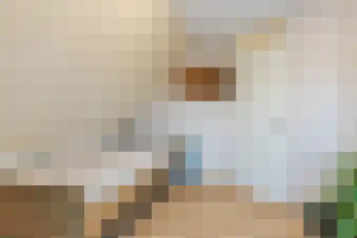 Bosweg 15 B 2 Hoogersmilde thumbnail 40