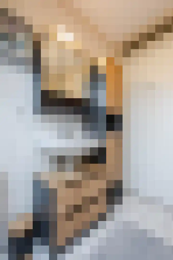 Bosweg 15 B 2 Hoogersmilde thumbnail 43