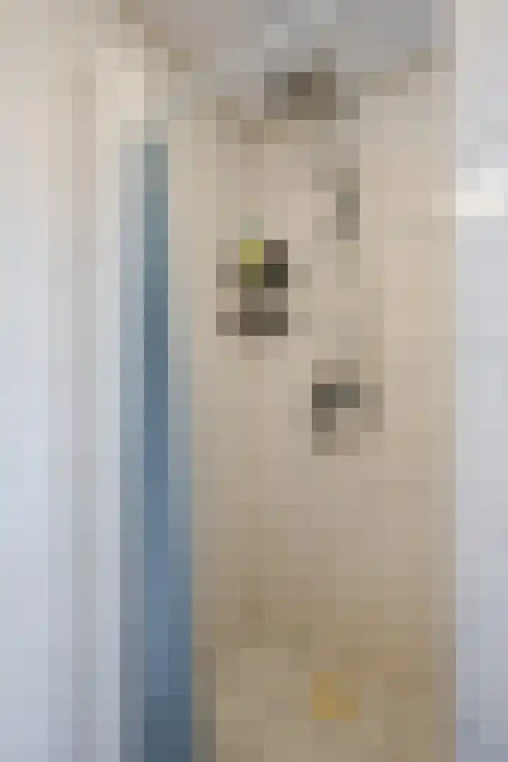 Bosweg 15 B 2 Hoogersmilde thumbnail 44