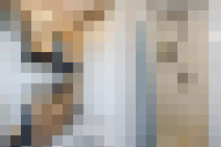 Bosweg 15 B 2 Hoogersmilde thumbnail 45