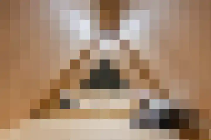 Bosweg 15 B 2 Hoogersmilde thumbnail 46