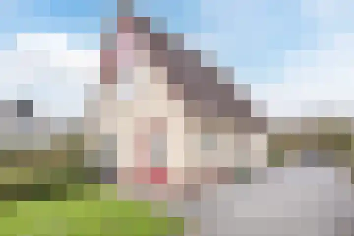 Bosweg 15 B 2 Hoogersmilde thumbnail 5