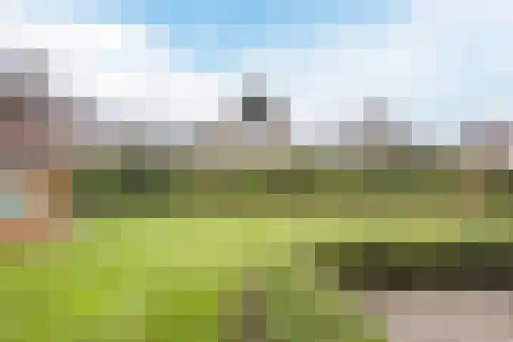 Bosweg 15 B 2 Hoogersmilde thumbnail 52
