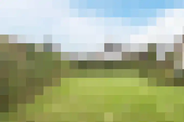 Bosweg 15 B 2 Hoogersmilde thumbnail 53