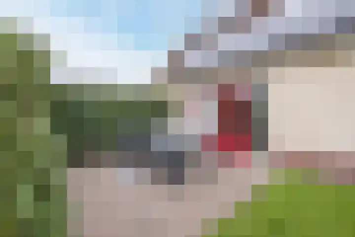 Bosweg 15 B 2 Hoogersmilde thumbnail 58