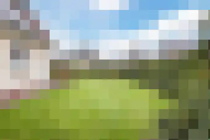 Bosweg 15 B 2 Hoogersmilde thumbnail 59