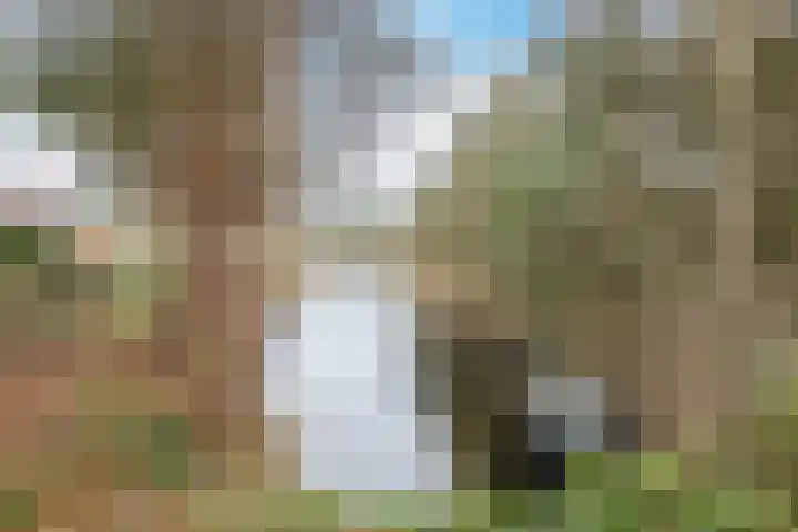 Bosweg 15 B 2 Hoogersmilde thumbnail 63