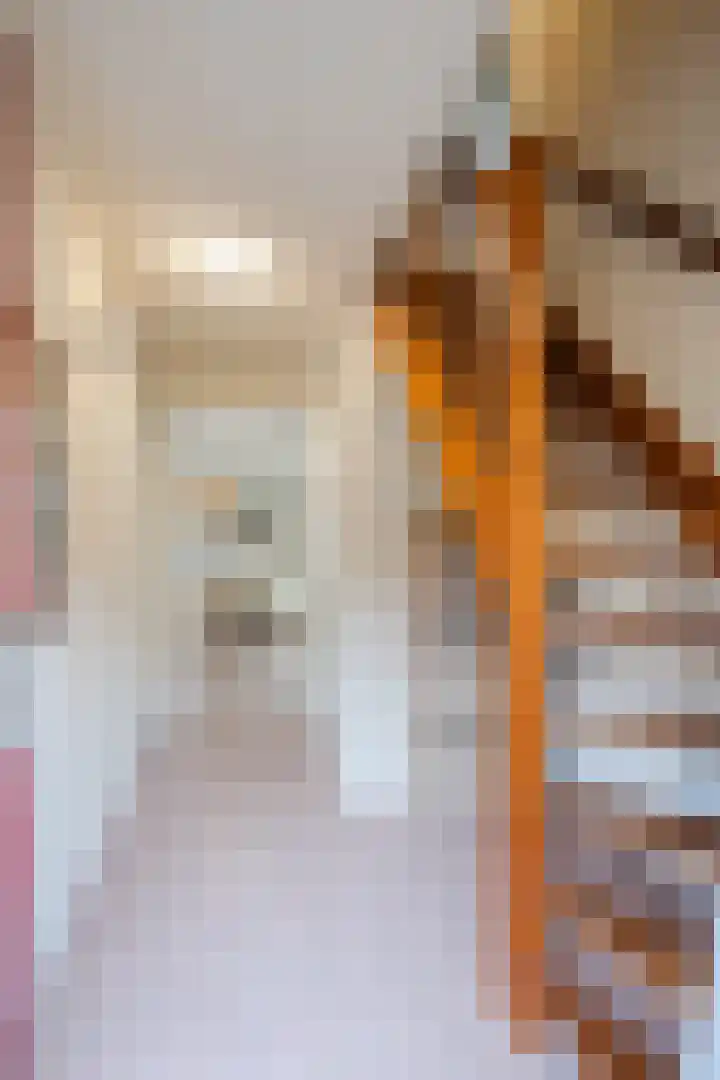 Bosweg 15 B 2 Hoogersmilde thumbnail 8