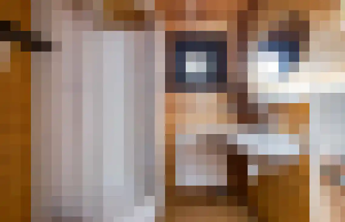 Bosweg 15 B 49 Hoogersmilde thumbnail 13