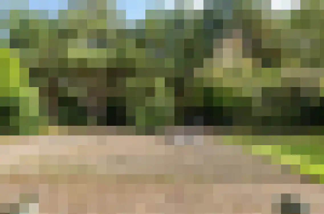 Bosweg 15 B 49 Hoogersmilde thumbnail 16