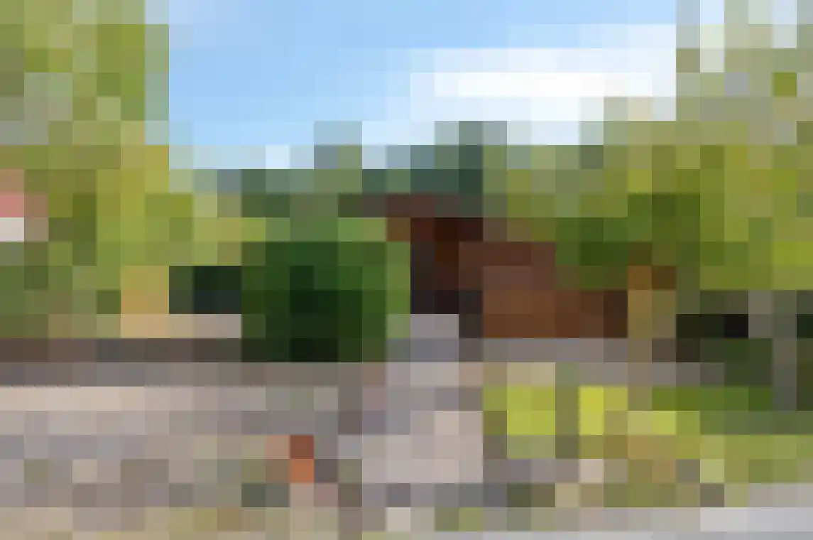 Bosweg 15 B 49 Hoogersmilde thumbnail 6