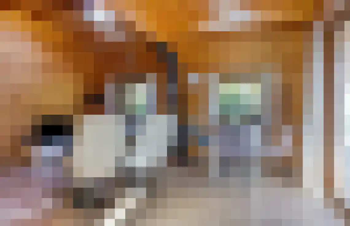 Bosweg 15 B 49 Hoogersmilde thumbnail 8