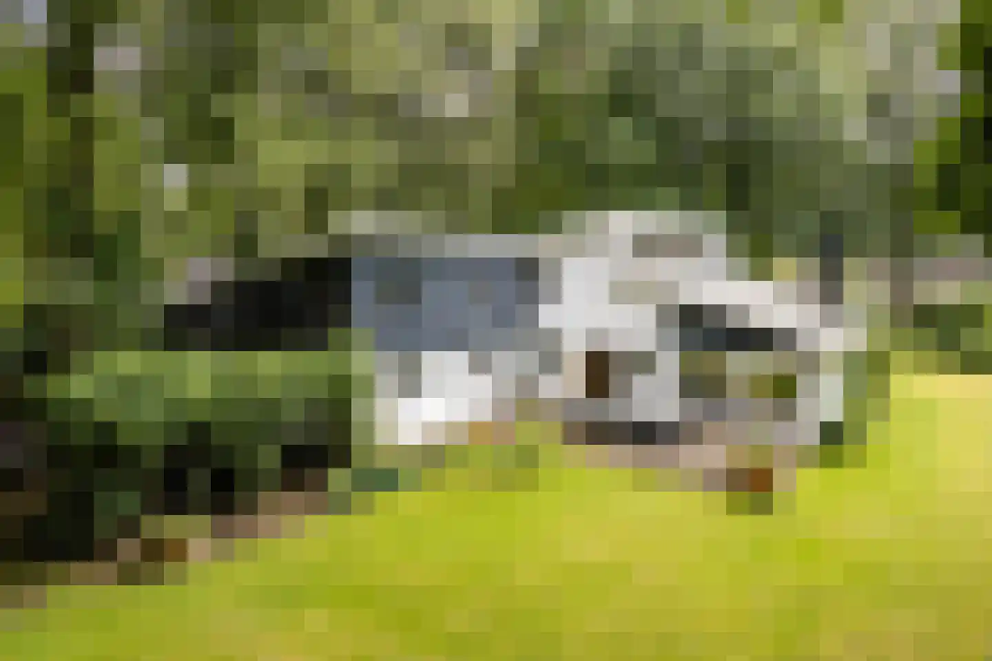 Bosweg 16 Epse thumbnail 10