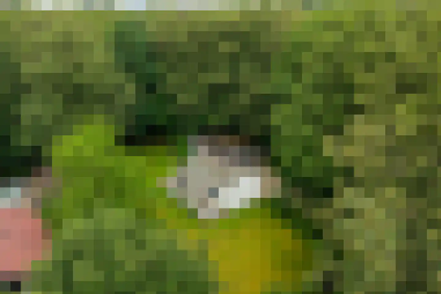 Bosweg 16 Epse thumbnail 12