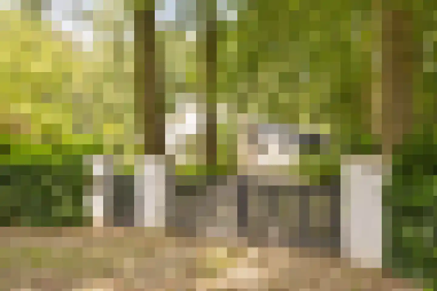 Bosweg 16 Epse thumbnail 13