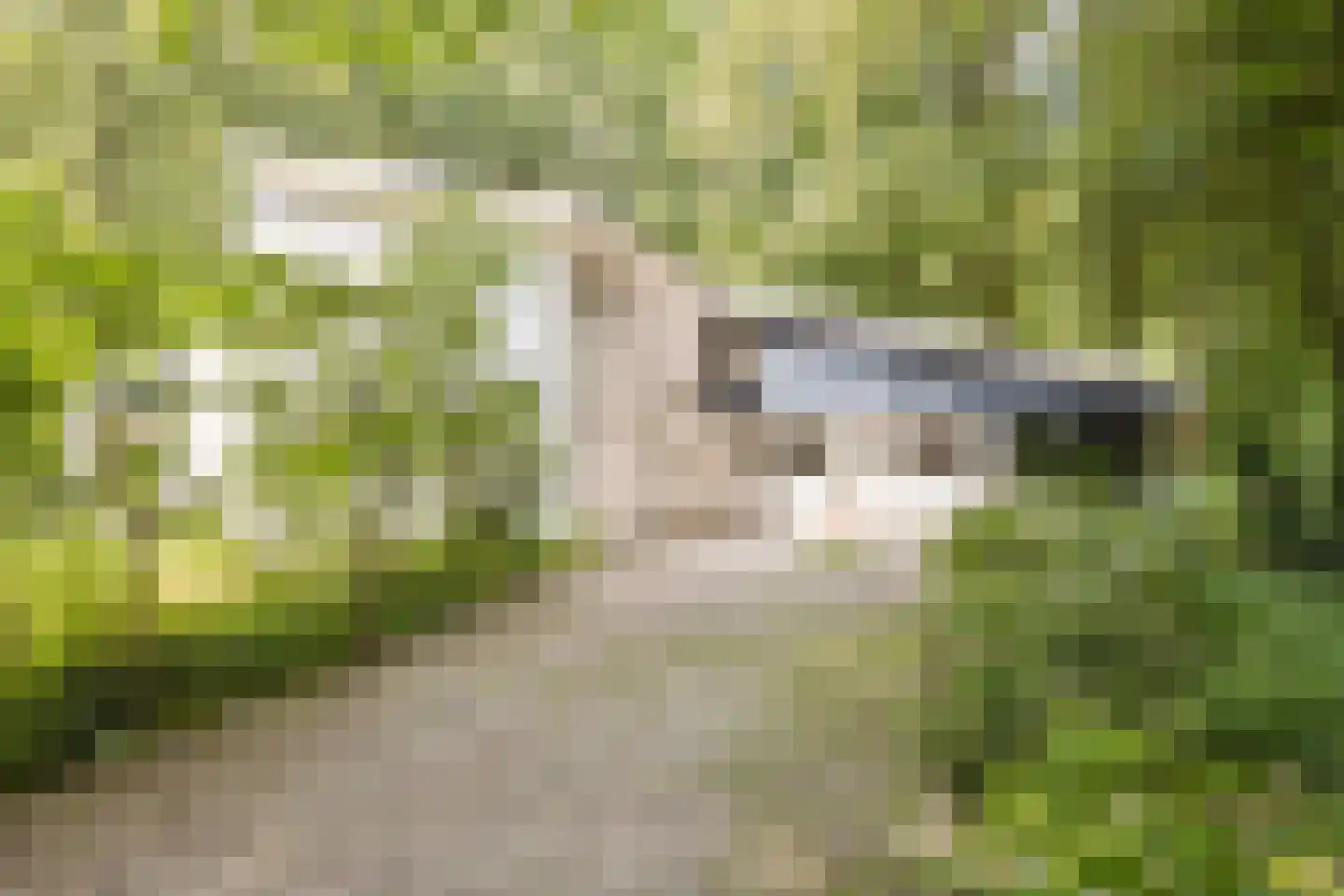 Bosweg 16 Epse thumbnail 14