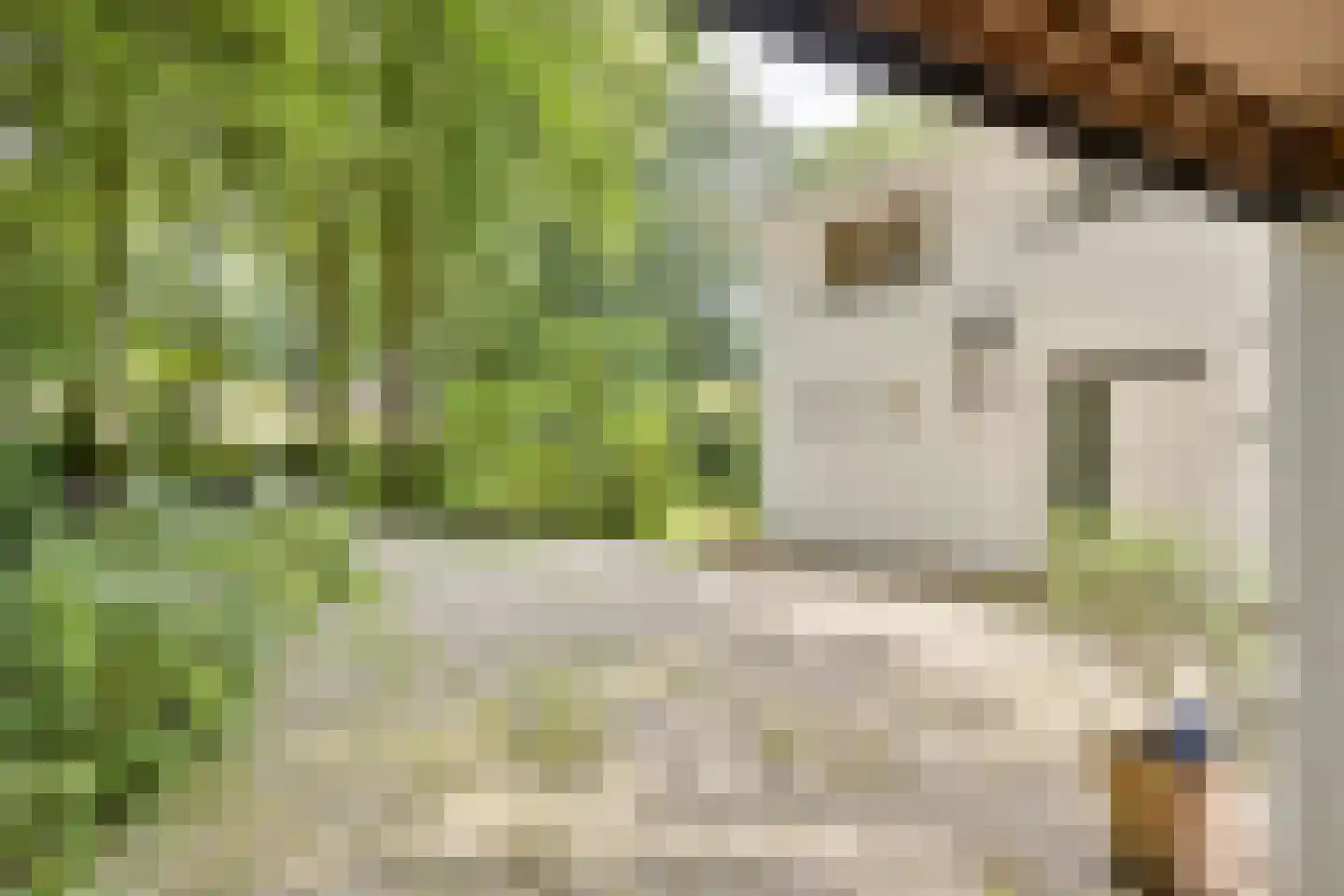 Bosweg 16 Epse thumbnail 16