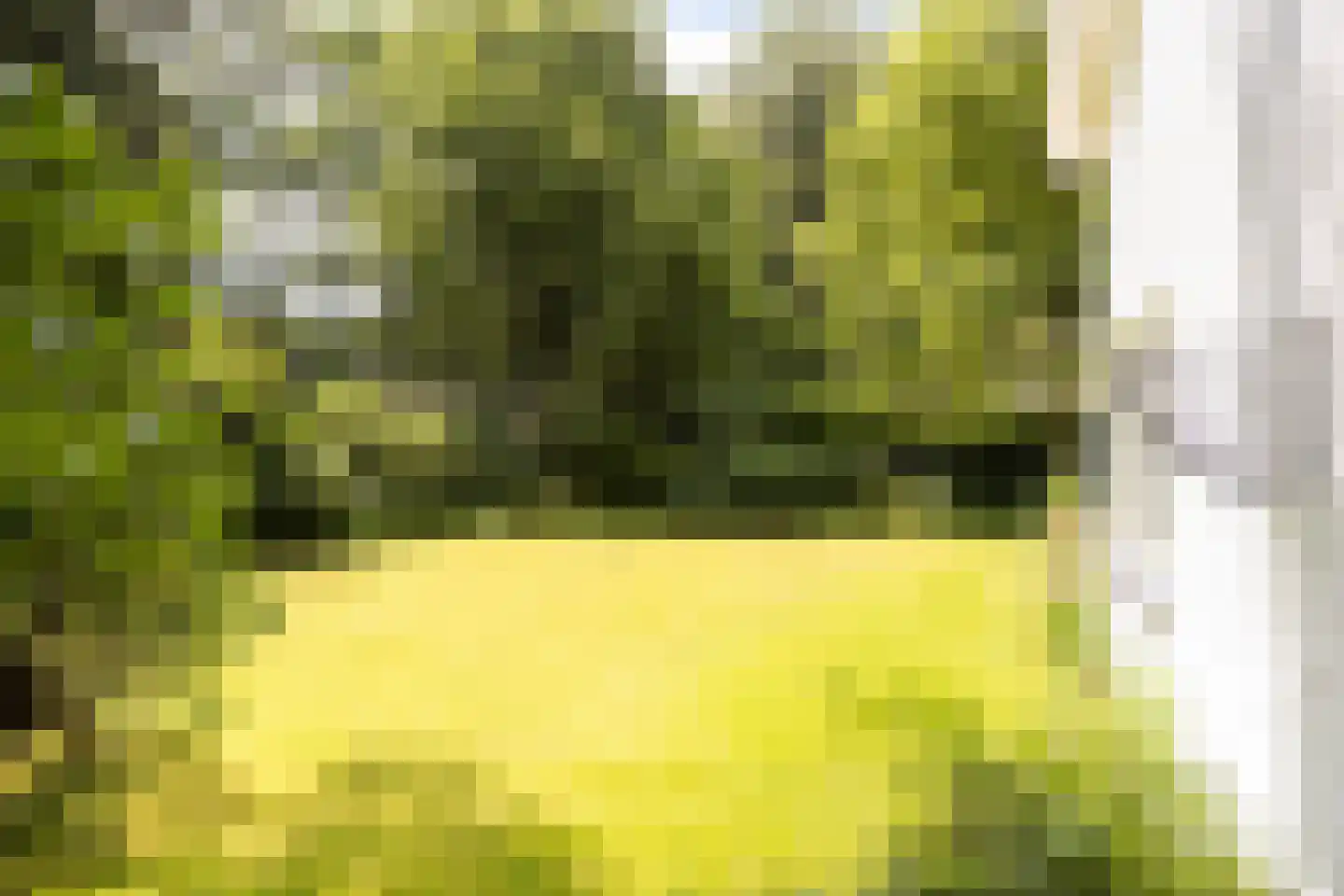 Bosweg 16 Epse thumbnail 23