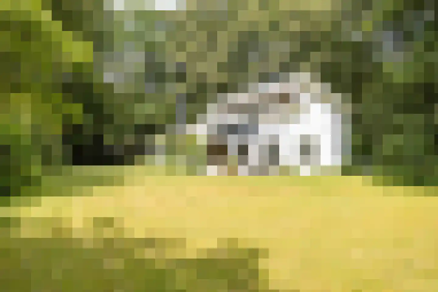Bosweg 16 Epse thumbnail 24