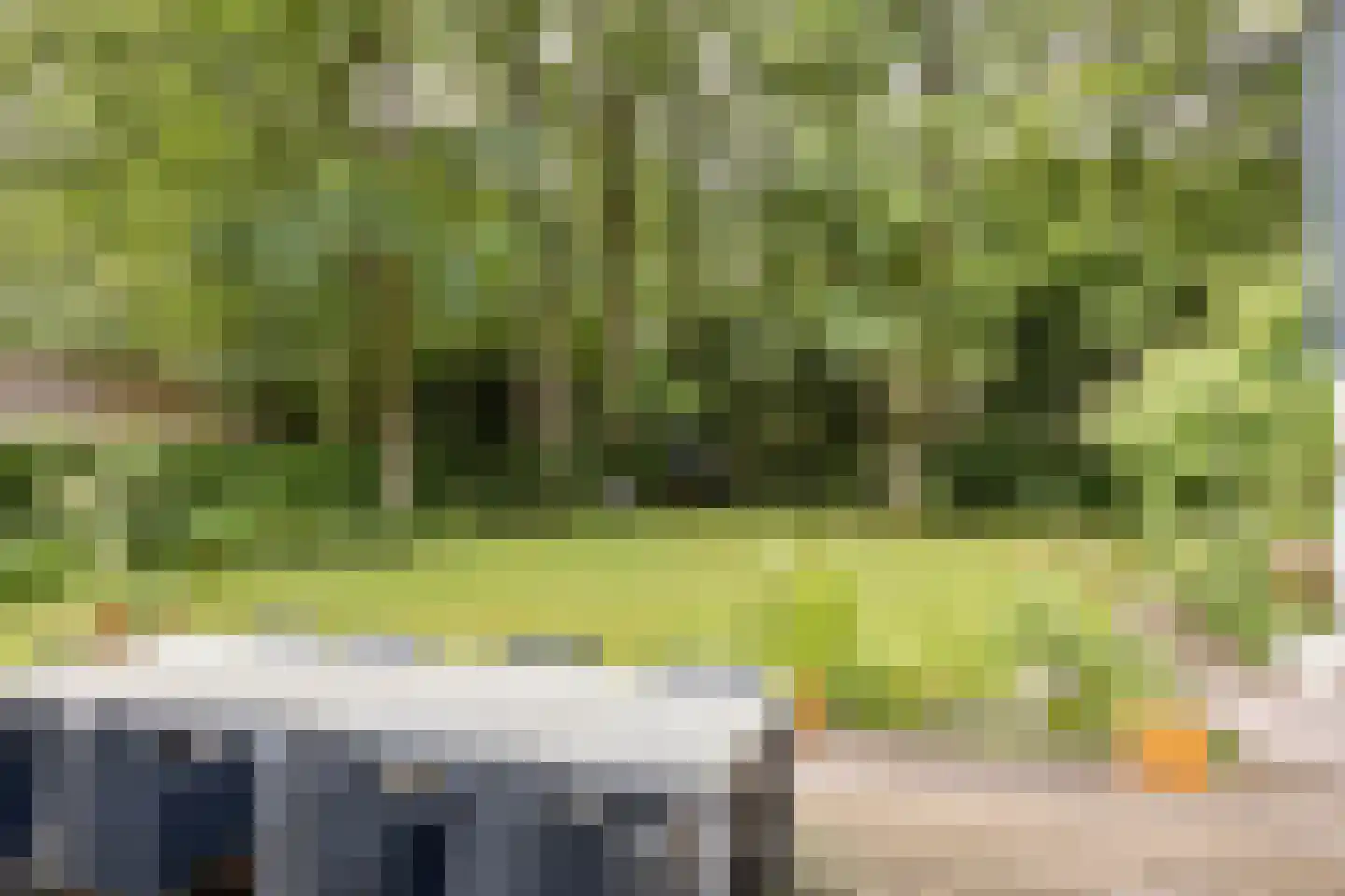 Bosweg 16 Epse thumbnail 32