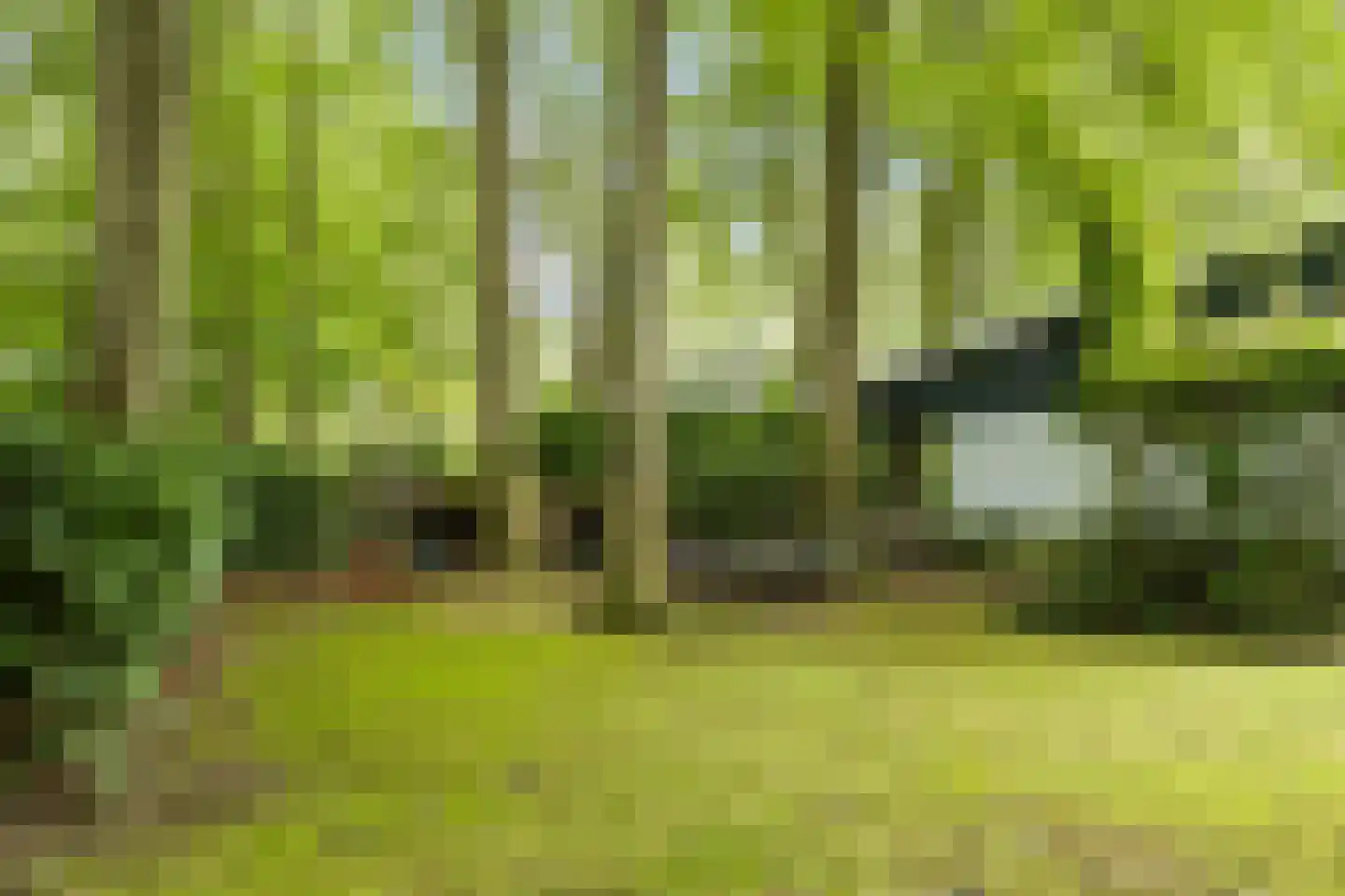 Bosweg 16 Epse thumbnail 33