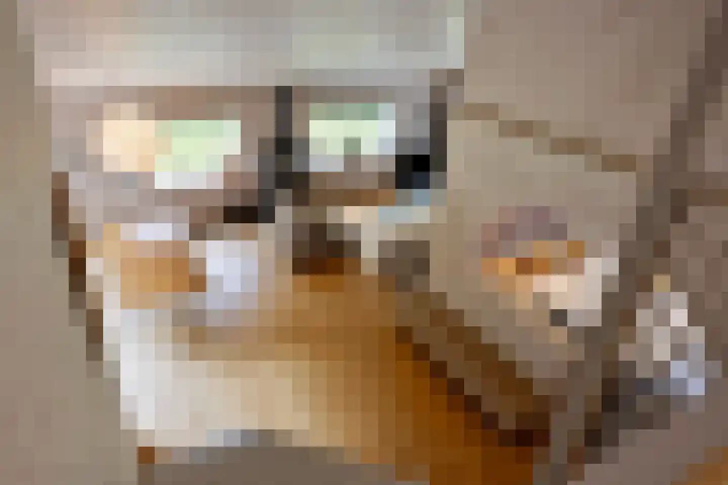 Bosweg 16 Epse thumbnail 41