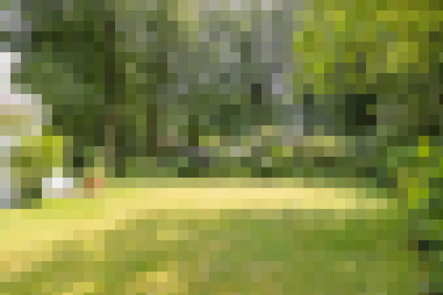 Bosweg 16 Epse thumbnail 51