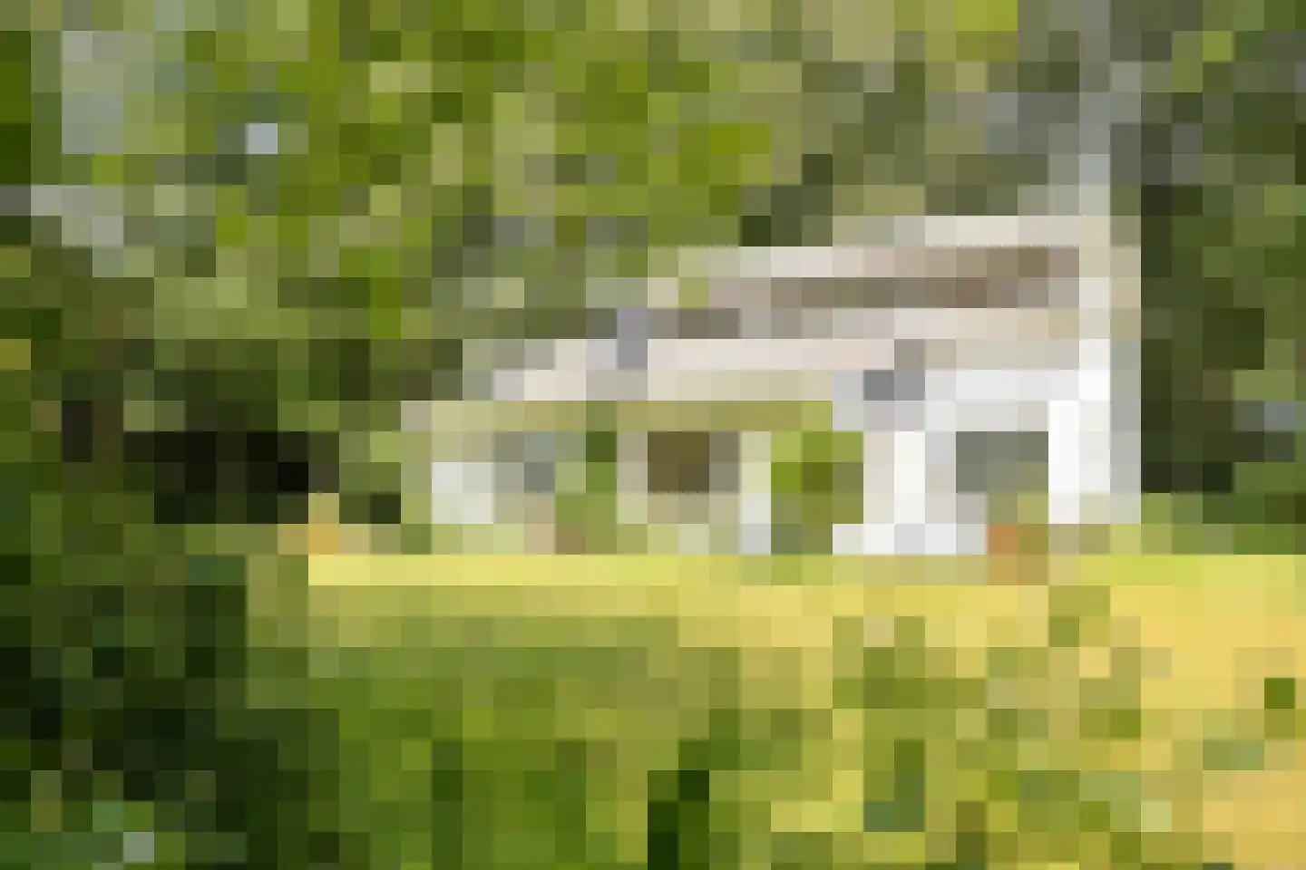 Bosweg 16 Epse thumbnail 52