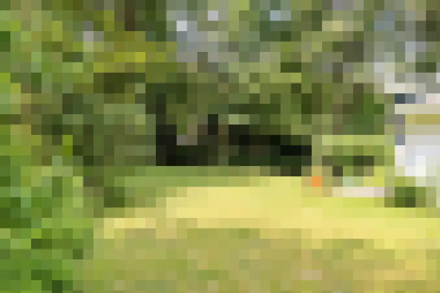 Bosweg 16 Epse thumbnail 53