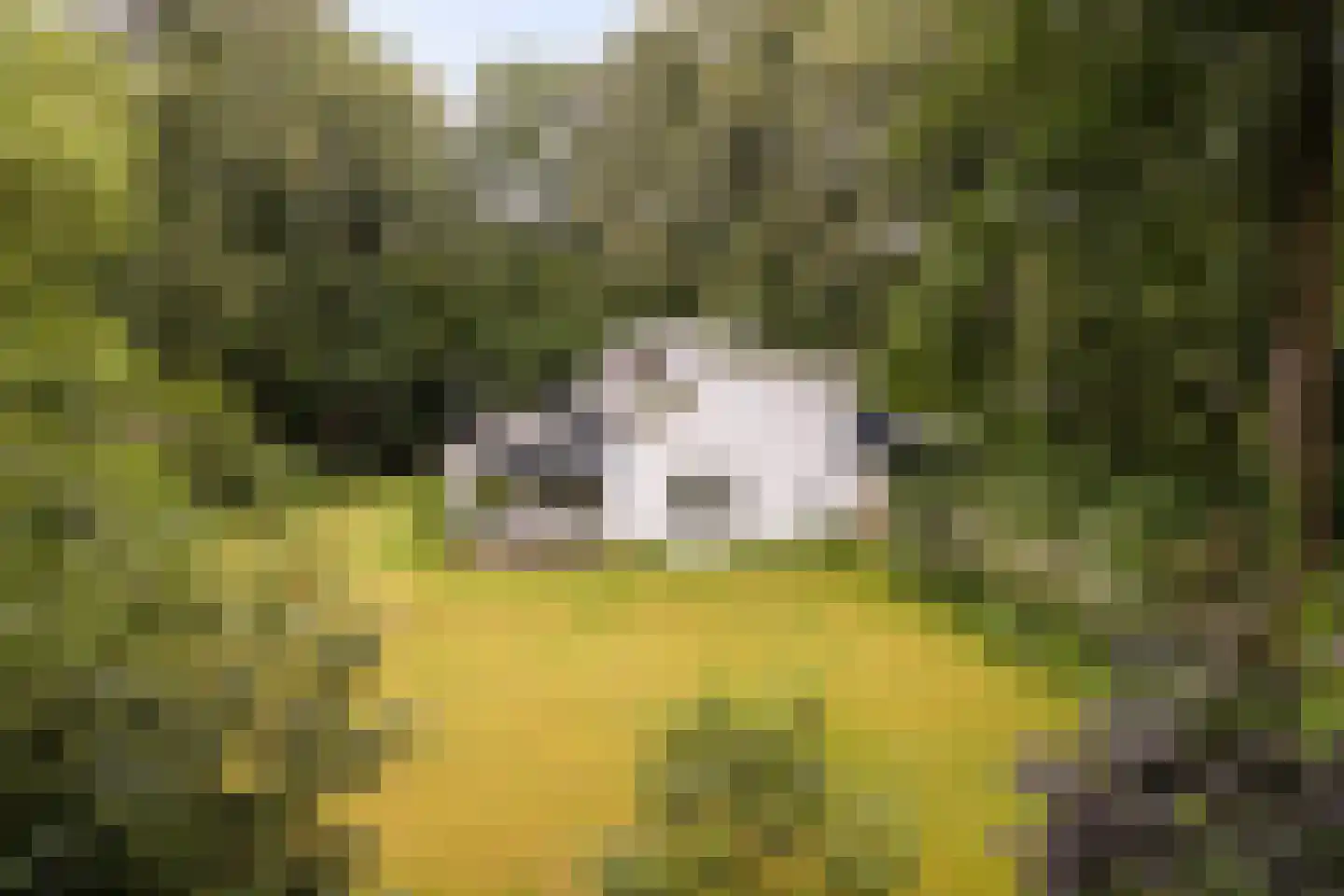 Bosweg 16 Epse thumbnail 54