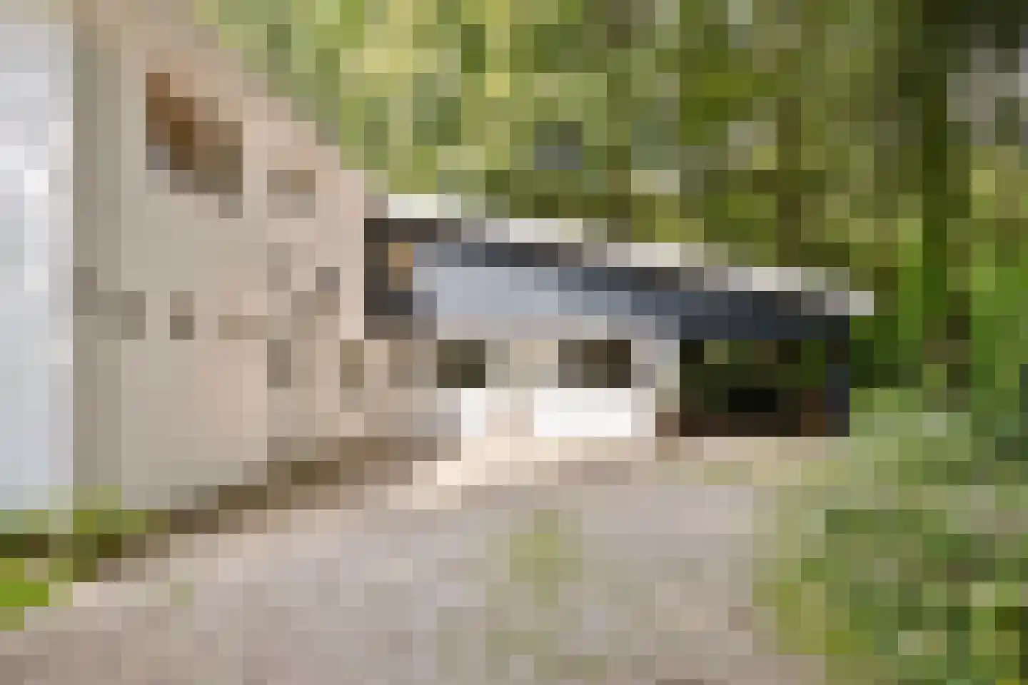Bosweg 16 Epse thumbnail 56