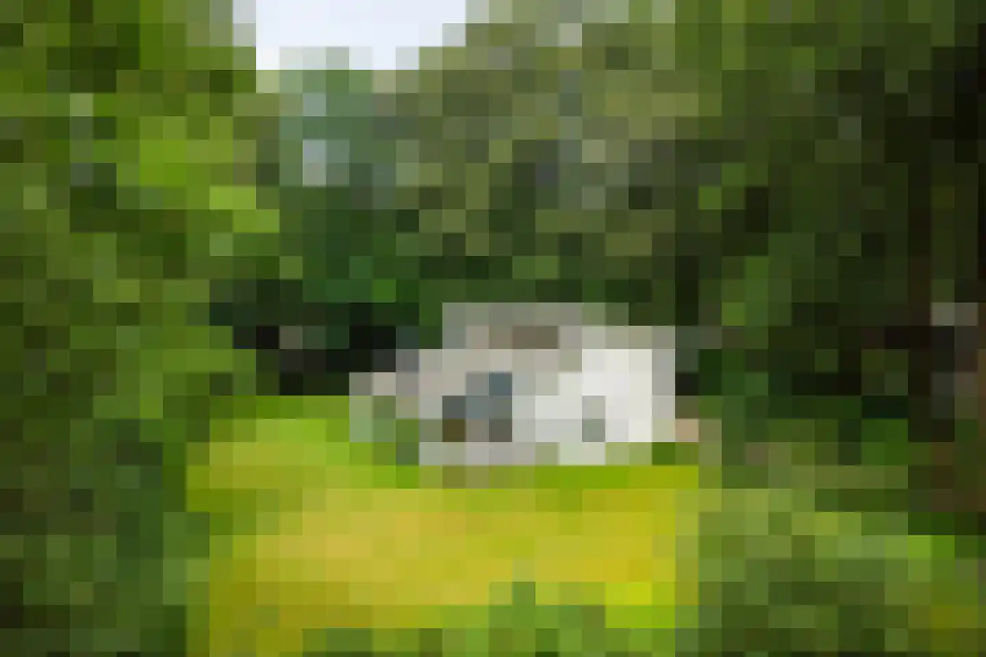 Bosweg 16 Epse thumbnail 57
