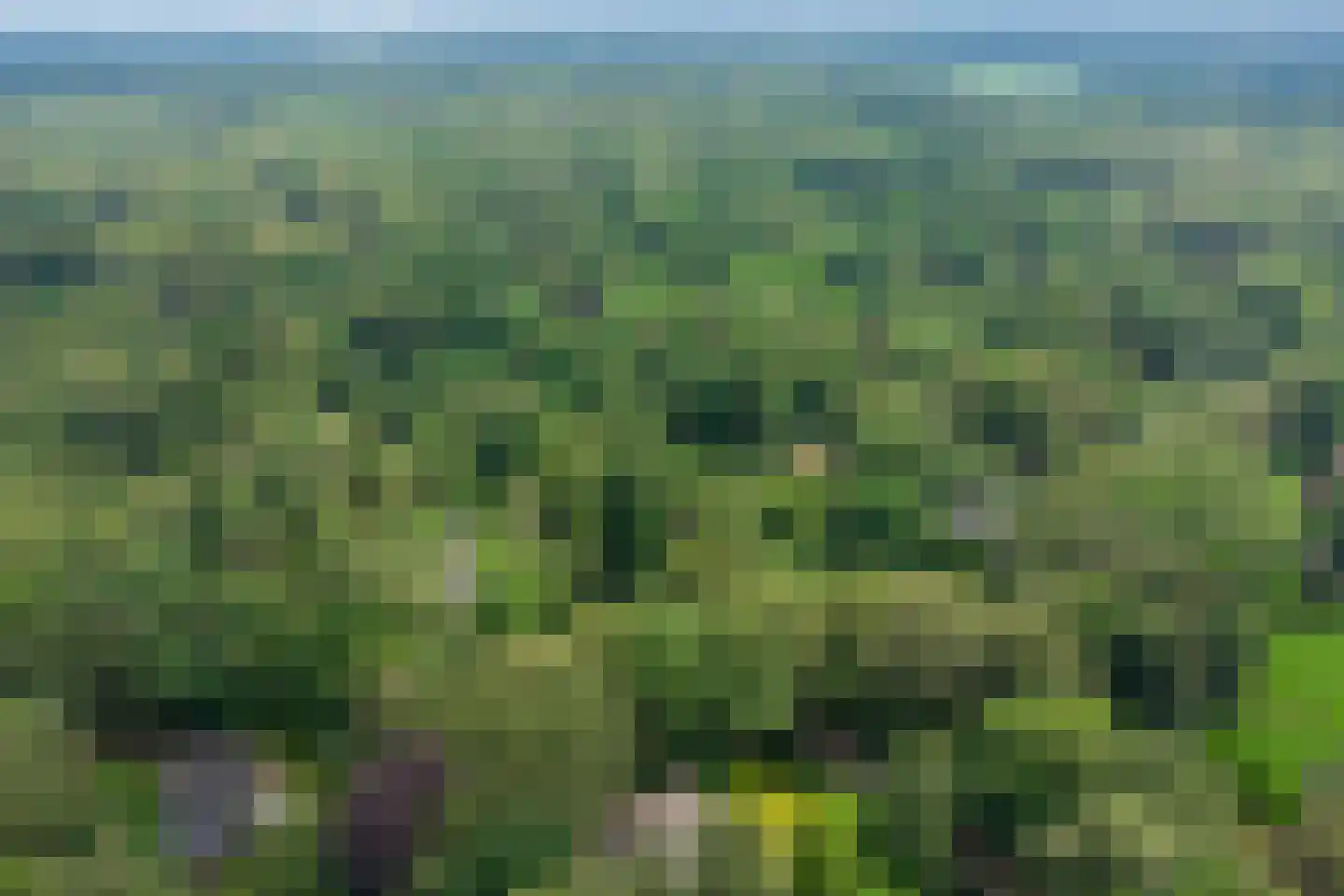 Bosweg 16 Epse thumbnail 59