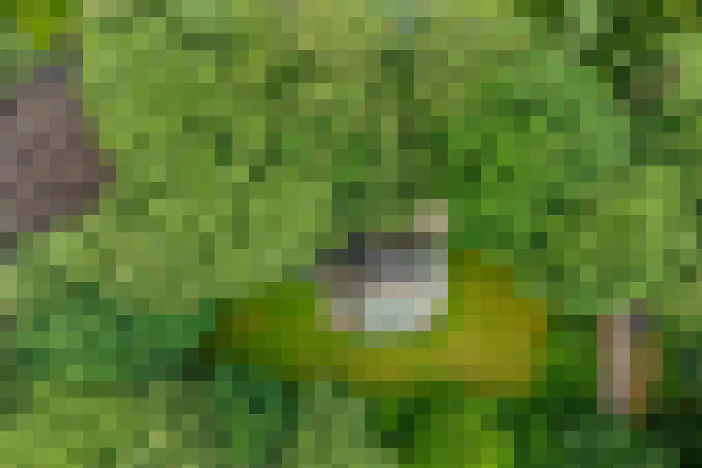 Bosweg 16 Epse thumbnail 61