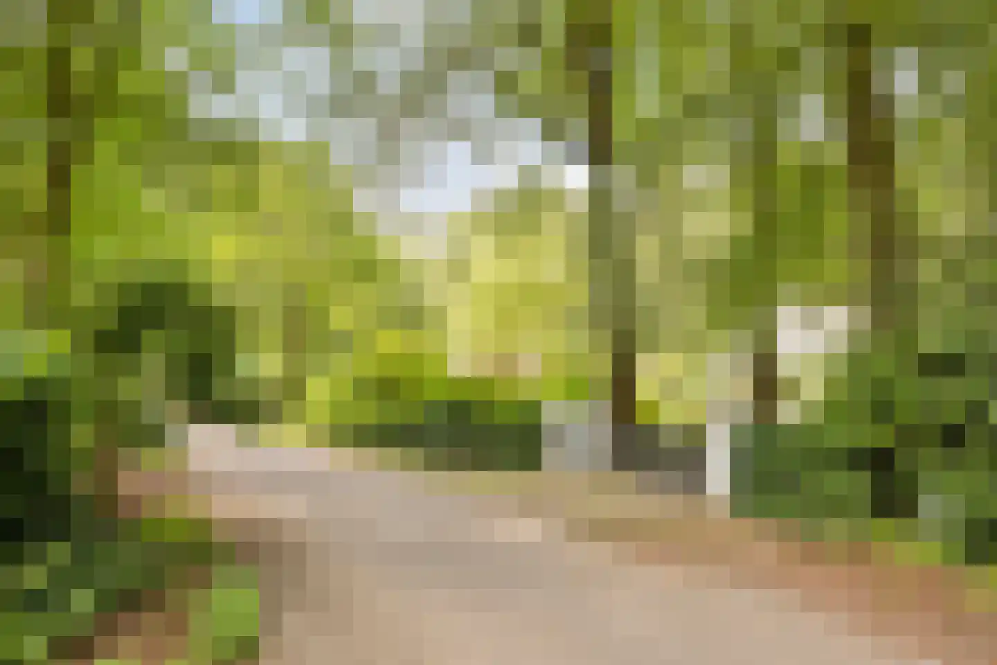 Bosweg 16 Epse thumbnail 62
