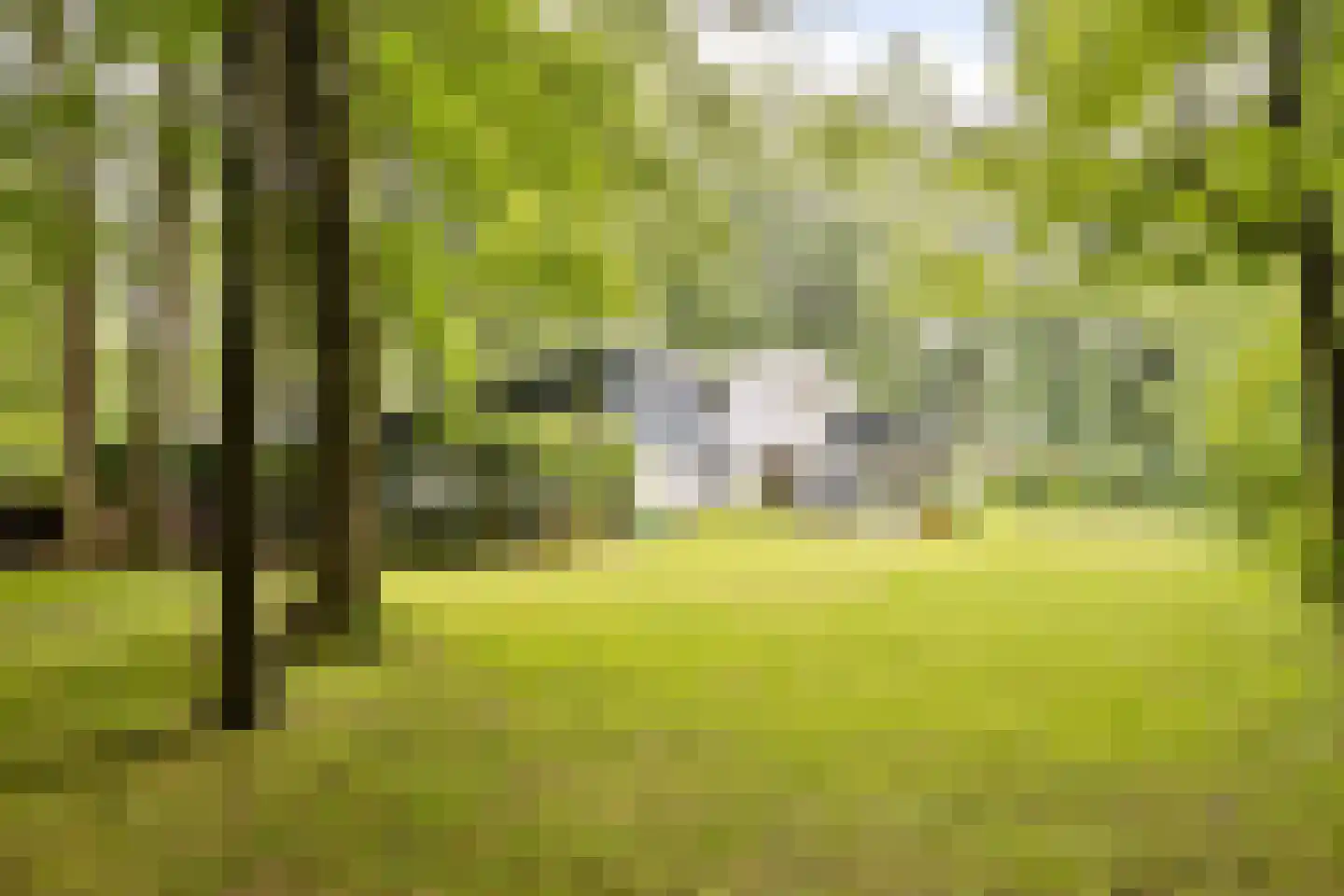 Bosweg 16 Epse thumbnail 7