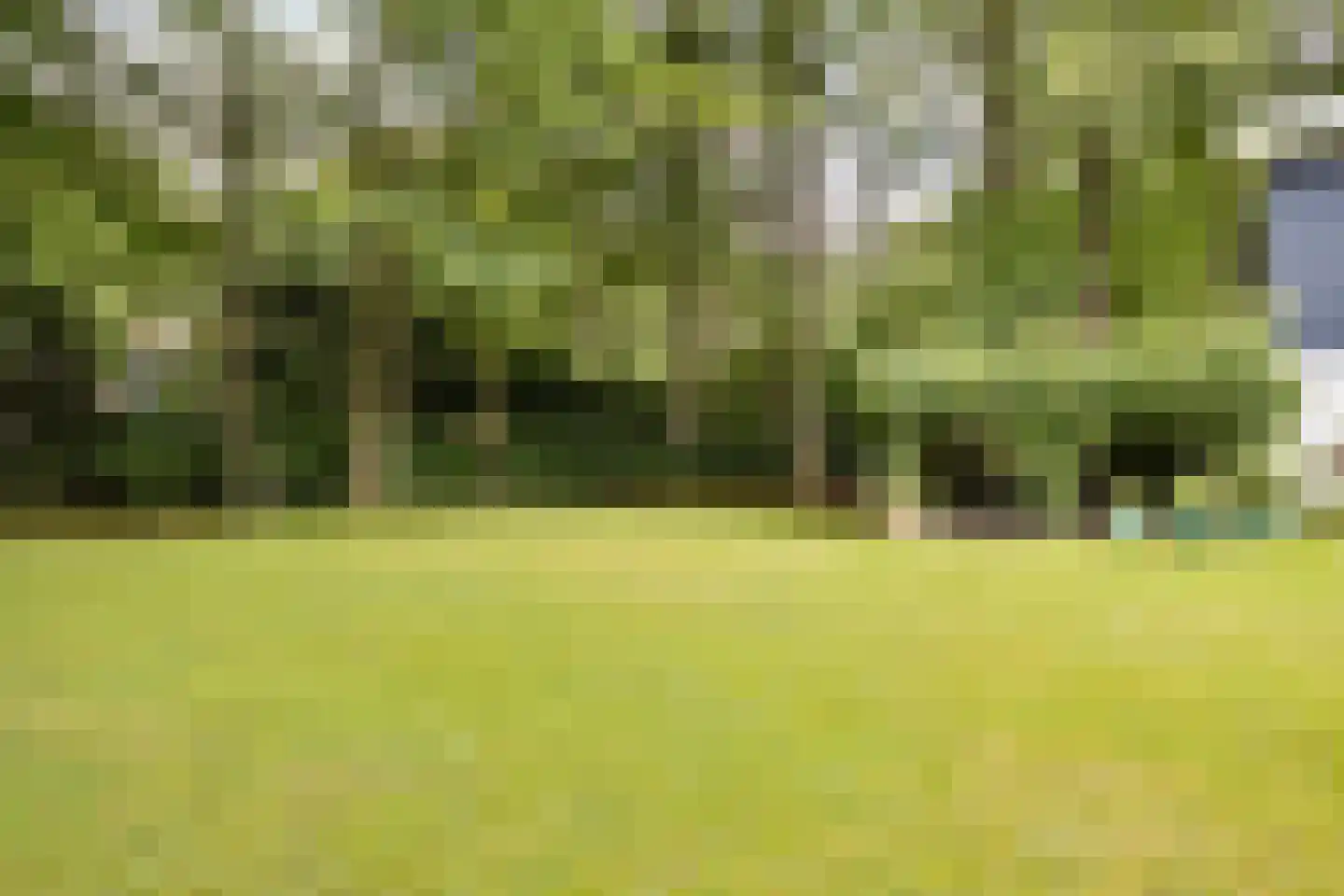 Bosweg 16 Epse thumbnail 8