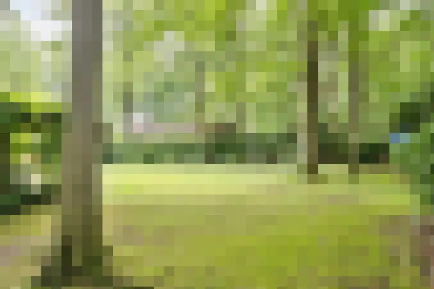 Bosweg 16 Epse thumbnail 9