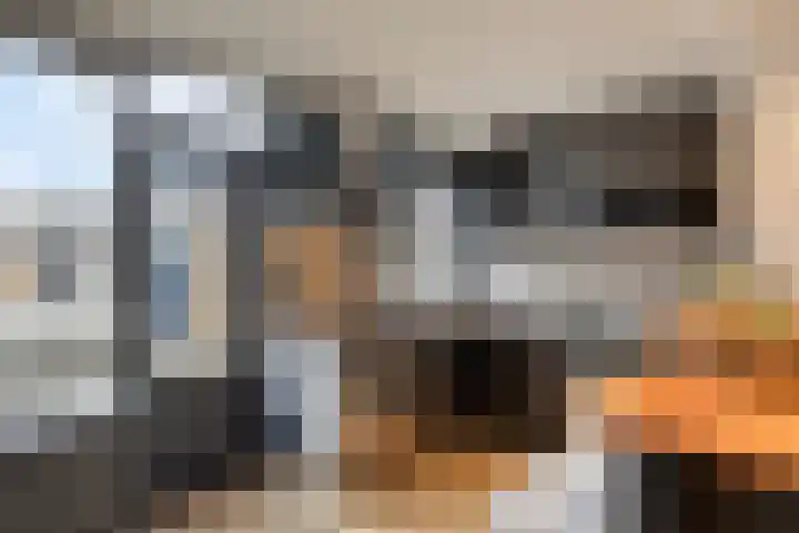 Bosweg 16 Gouda thumbnail 11